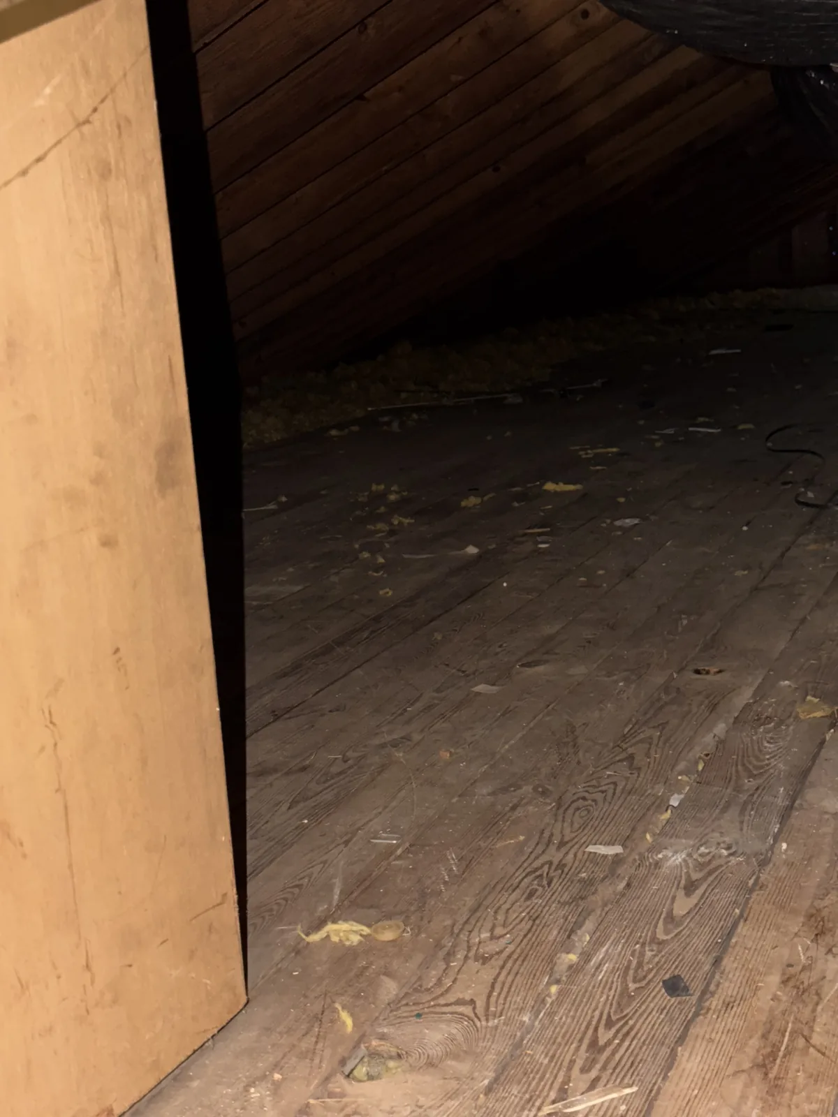 Empty interior space after the property cleanout