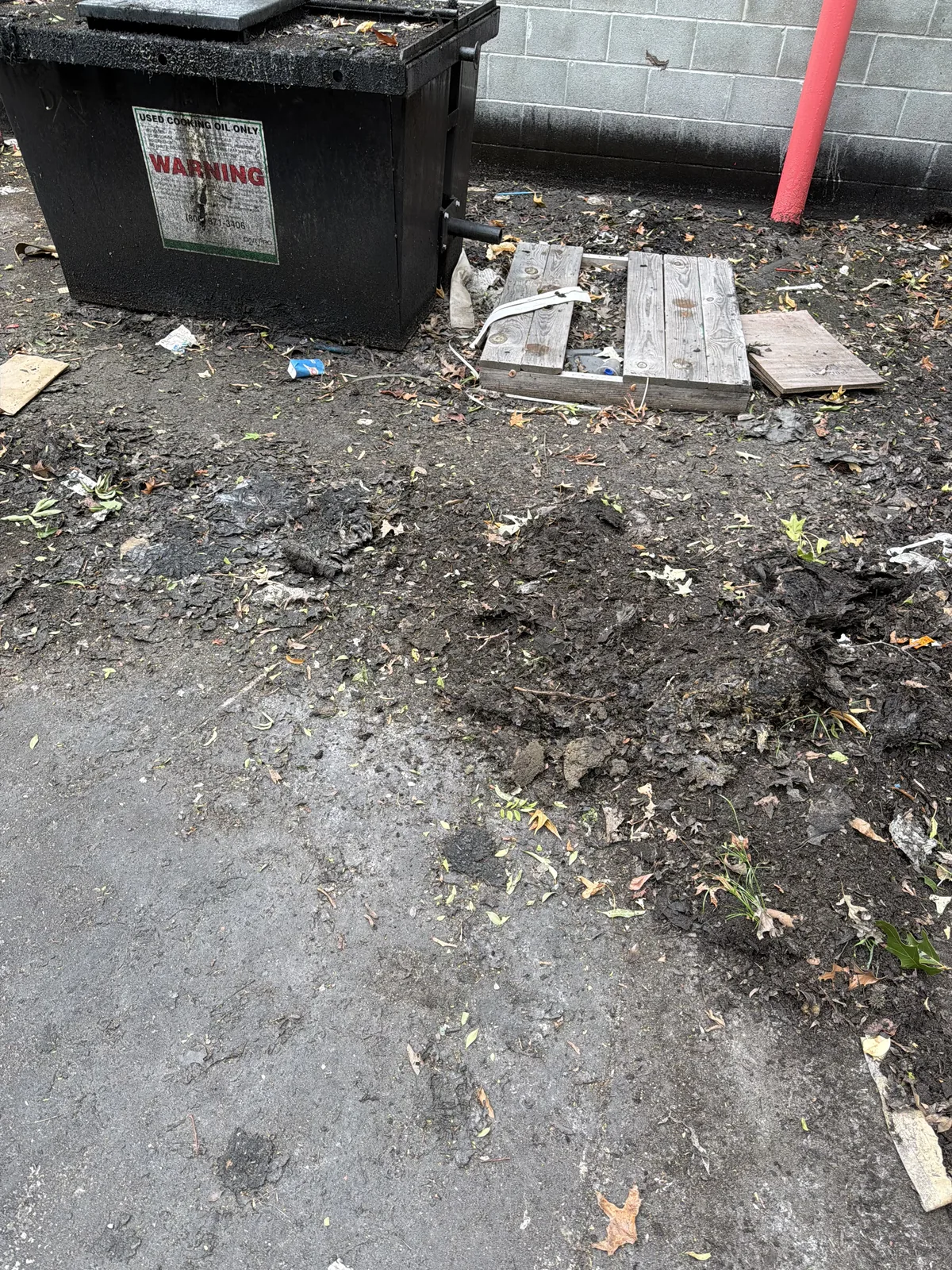 Debris in a dumpster area before cleanup