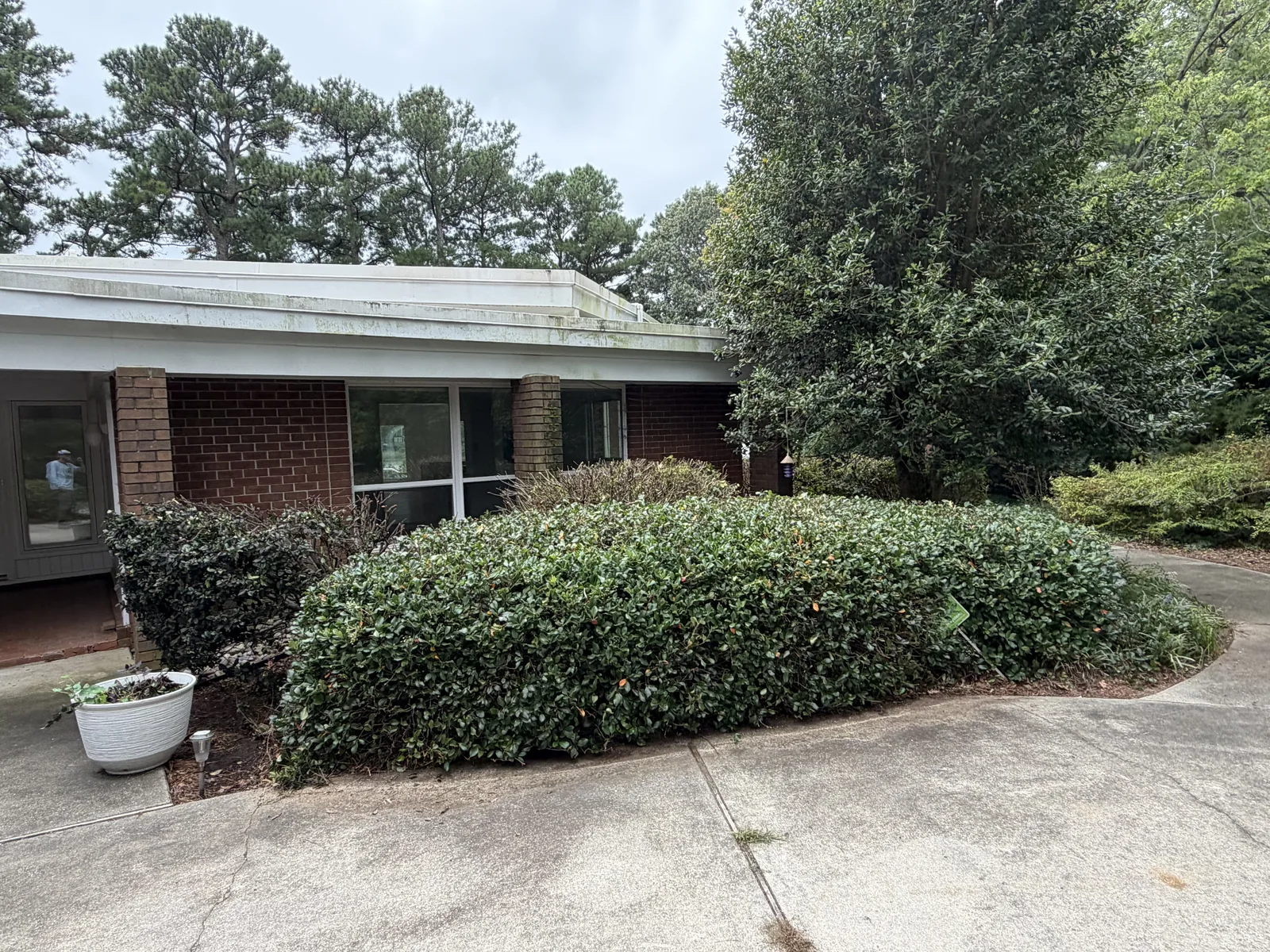 Trimmed hedges outside a home