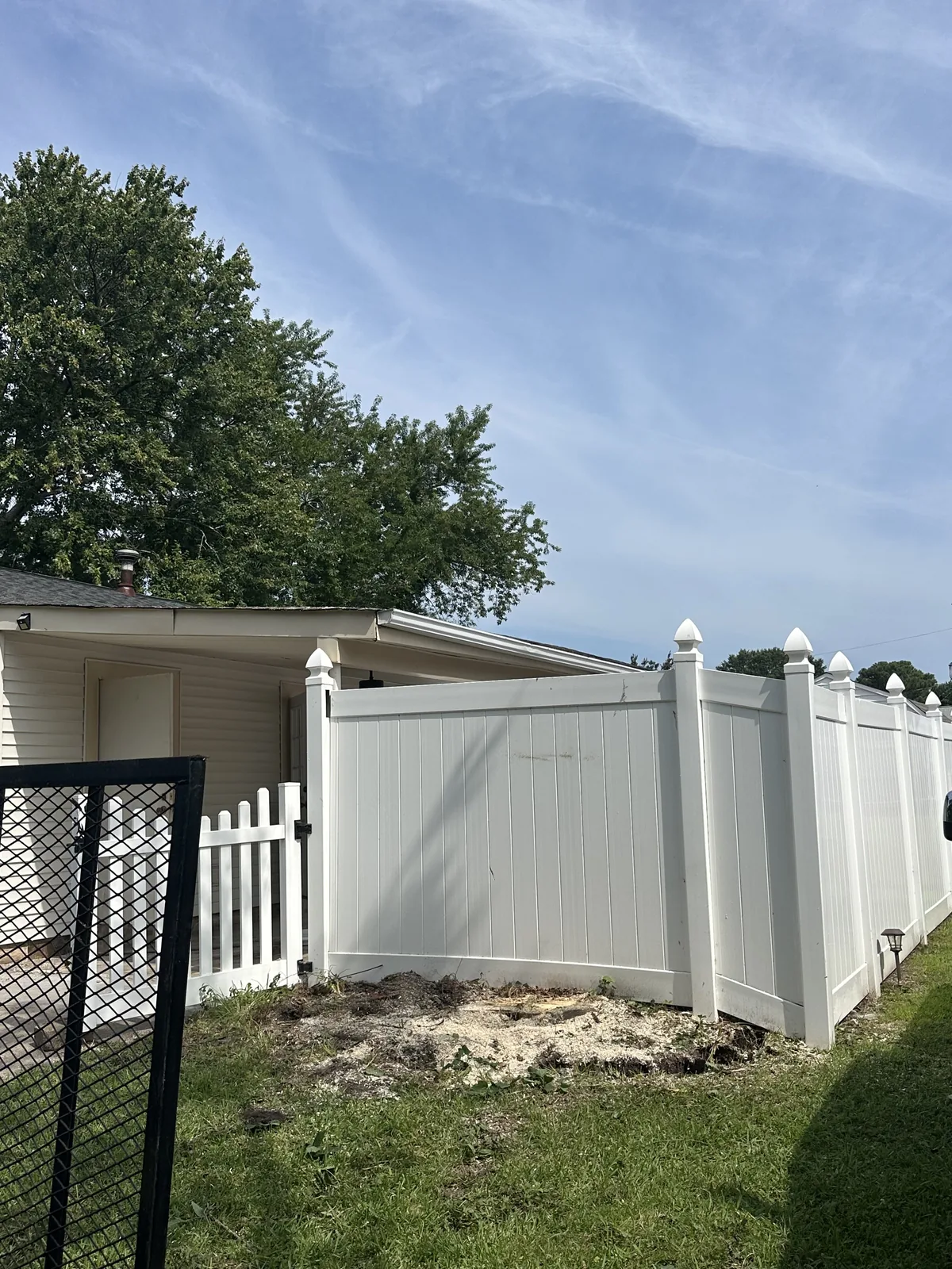 Yard and white fence after tree work